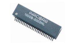 1000B-5001˫˿ڱѹiNRCORE